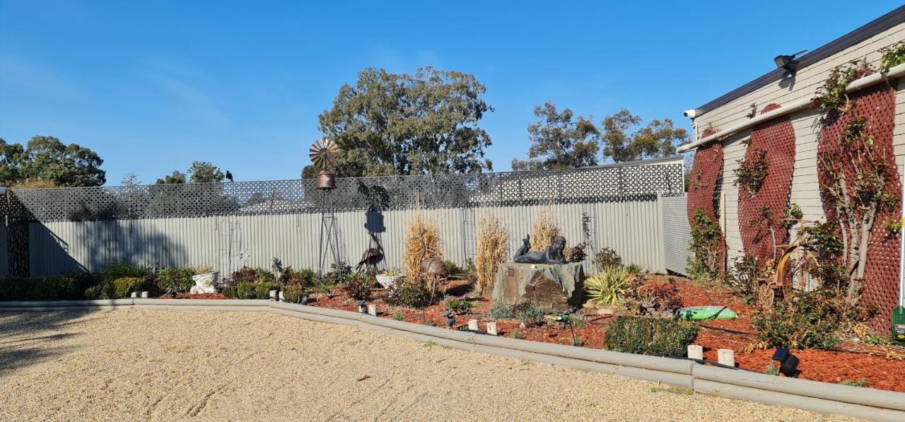 Cameo Inn Motel West Wyalong Eksteriør bilde